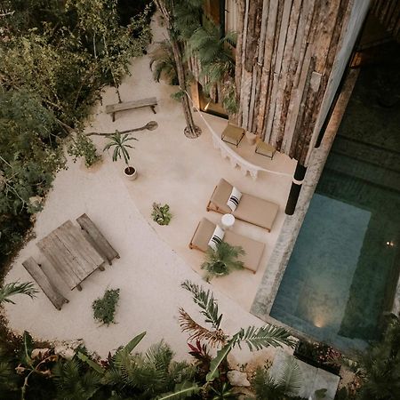 Esencia Villas Tulum Zewnętrze zdjęcie